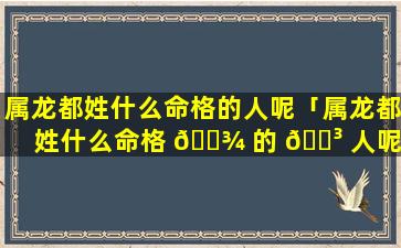 属龙都姓什么命格的人呢「属龙都姓什么命格 🌾 的 🐳 人呢女生」